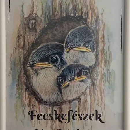 公寓 Fecskefeszek Vendeghaz 希欧福克